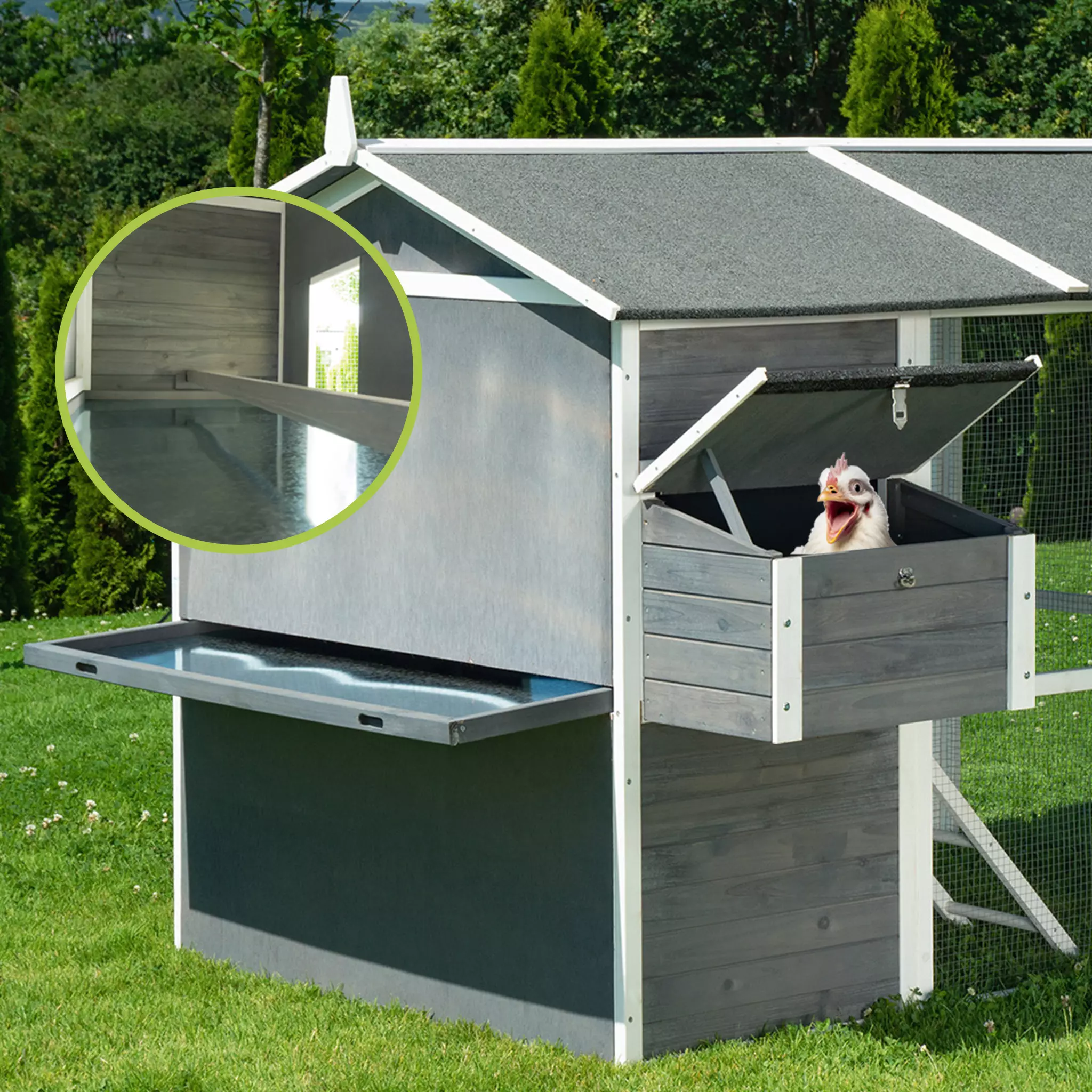 MyAnimal Hühnerstall groß für 7 Hühner MH-15